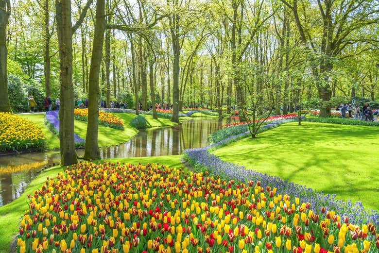 Il paradiso floreale di Keukenhof