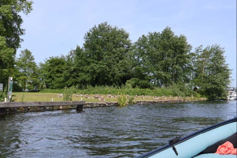 Paisajes del lago Kralingse Plas