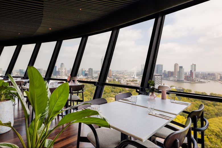 Las mejores vistas panorámicas de Róterdam