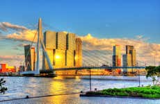 Private Tour of Rotterdam