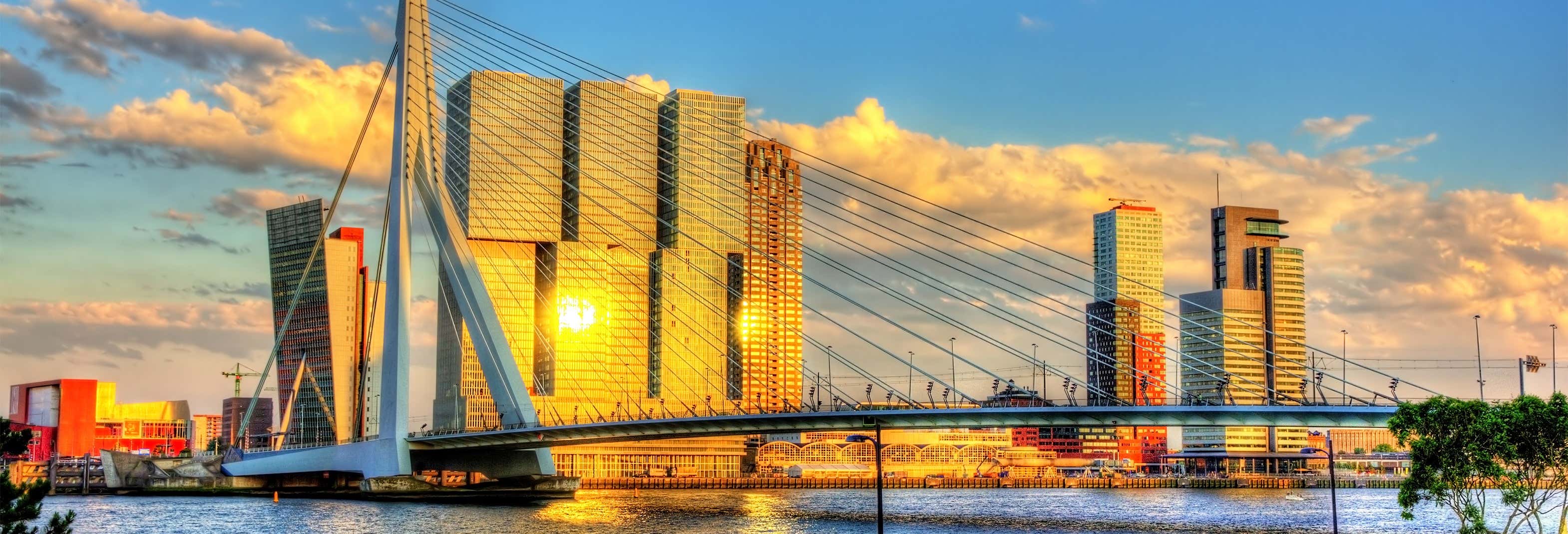 Visitas guiadas y free tours en Róterdam