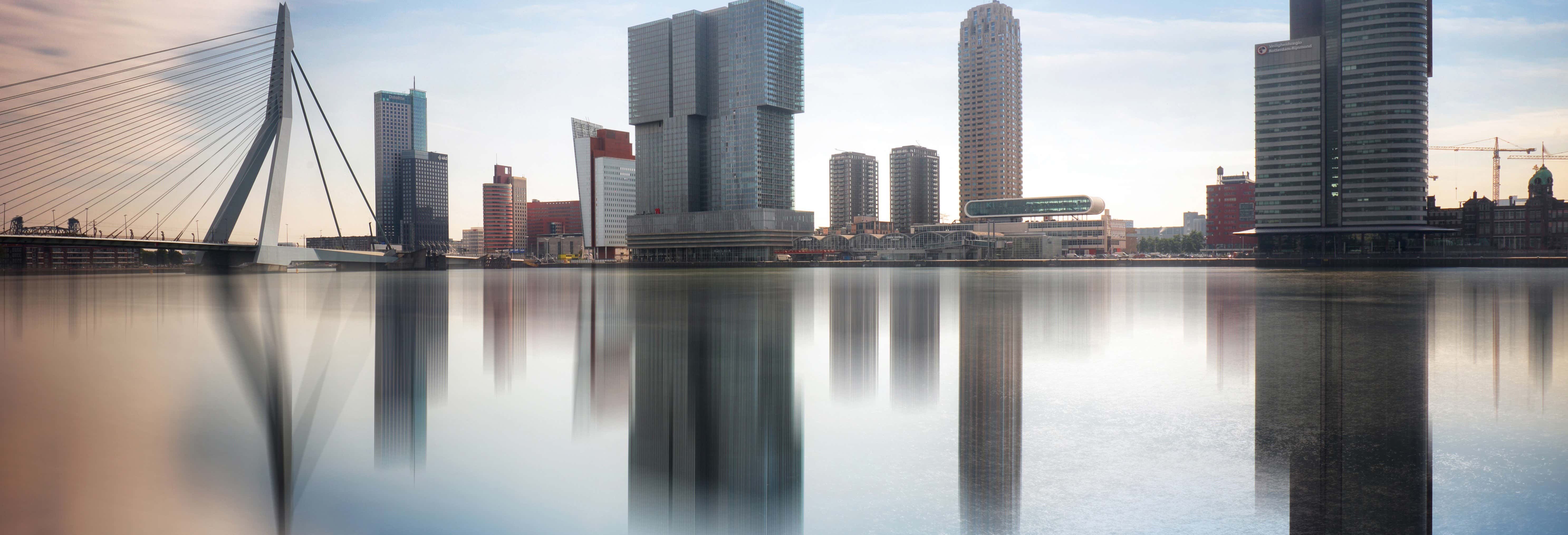 Guided tours and free tours in Rotterdam
