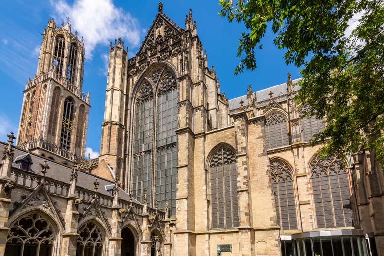 Admire St. Martin’s Cathedral