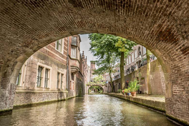 A bridge