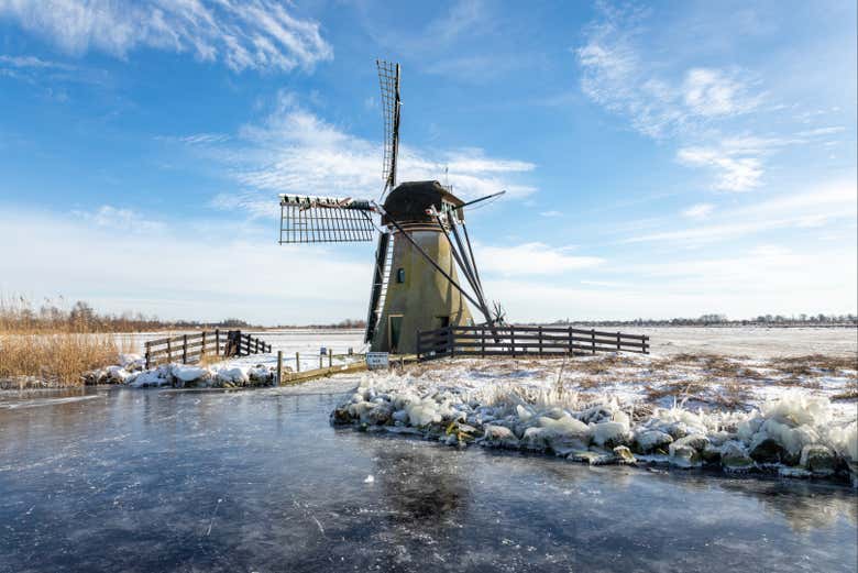 Windmill in Warmond