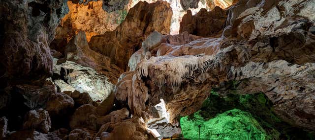 Excursion aux grottes de Hato et au sanctuaire des flamants roses