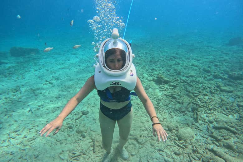 Marchez sur les fonds marins de Willemstad