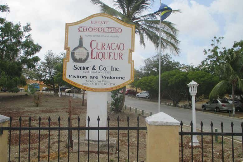 Arrivée à Chobolobo