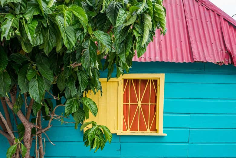 Veremos cientos de casas de colores