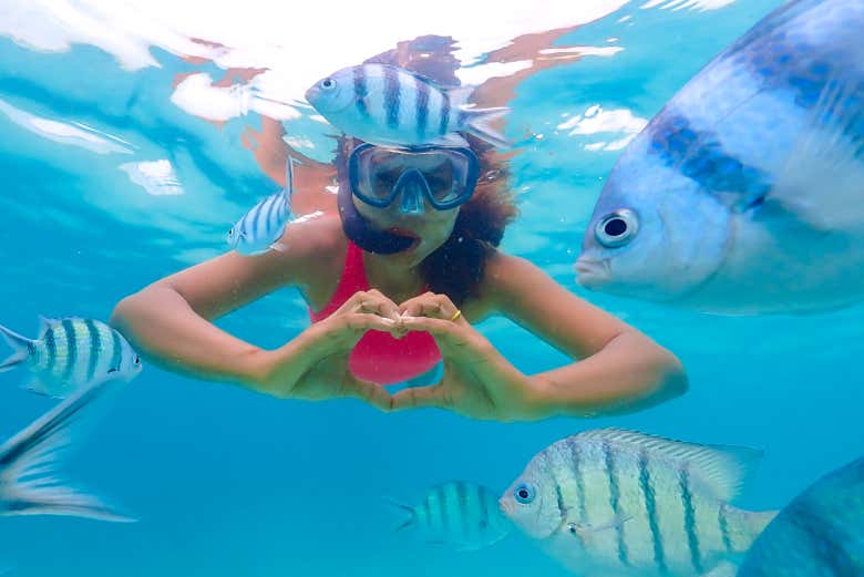 Practicando snorkel en aguas de Curazao