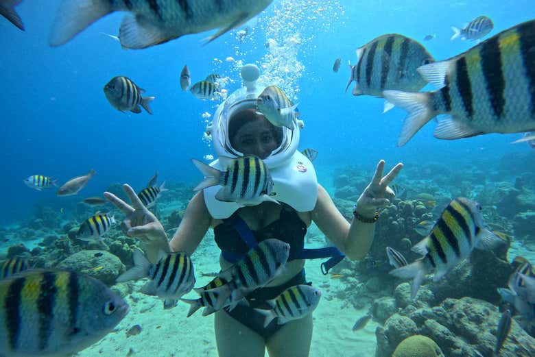 Entouré de poissons de la mer des Caraïbes