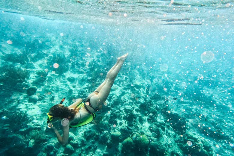 Disfrutando del buceo