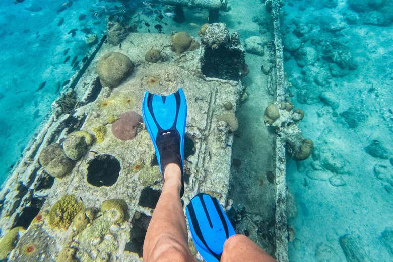Aventuraos a explorar la vida marina mediante el snorkel