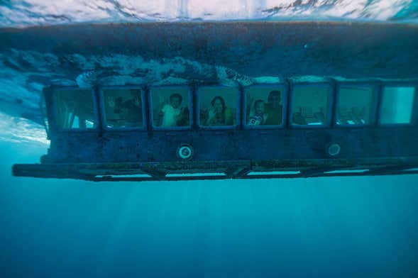 Glass Bottom Boat Trip in Curaçao