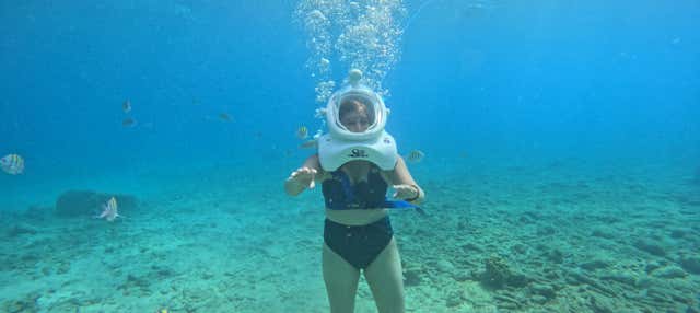 Seawalker em Willemstad