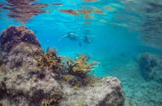 Snorkeling nella Bahía de Caracas
