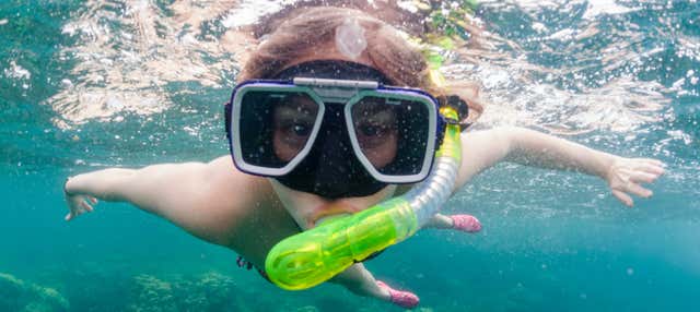 Snorkeling a Willemstad