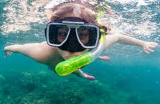 Snorkel en Willemstad
