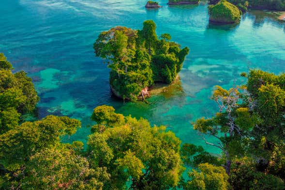 Escursione a Isla Escudo de Veraguas