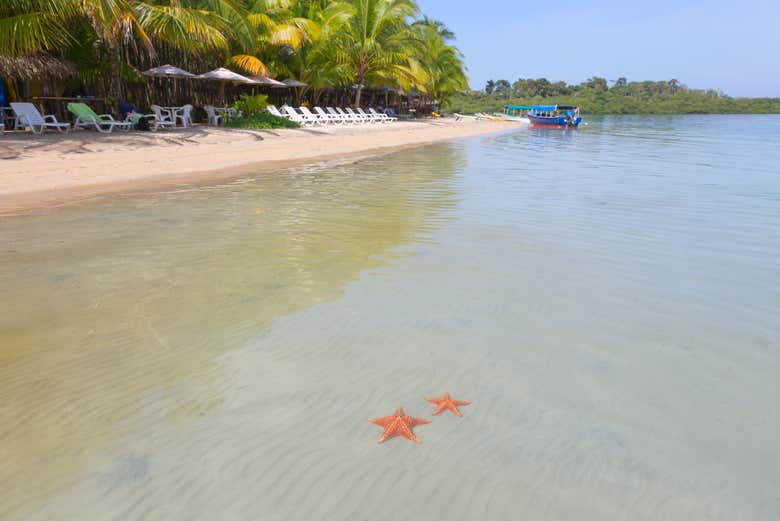 Les eaux peu profondes de Playa Estrella
