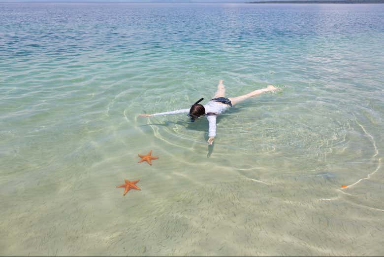 Snorkeling à Playa Estrella
