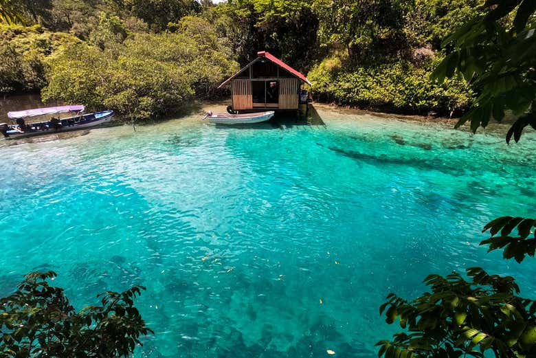 Les plages paradisiaques de l'Isla Escudo à Veraguas