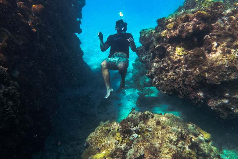 Snorkeling à l'Isla Escudo de Veraguas