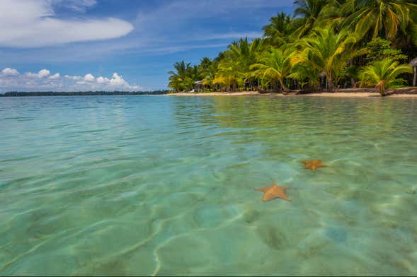 Escursione a Playa Estrella e Isla Pájaros