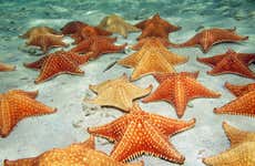 Escursione a Playa Estrella e Isla Pájaros