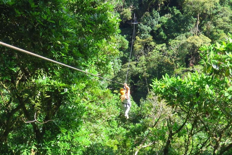 Descente en tyrolienne à travers une végétation luxuriante