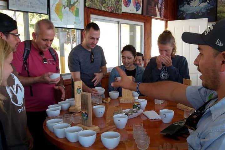 Faites une dégustation de café panaméen