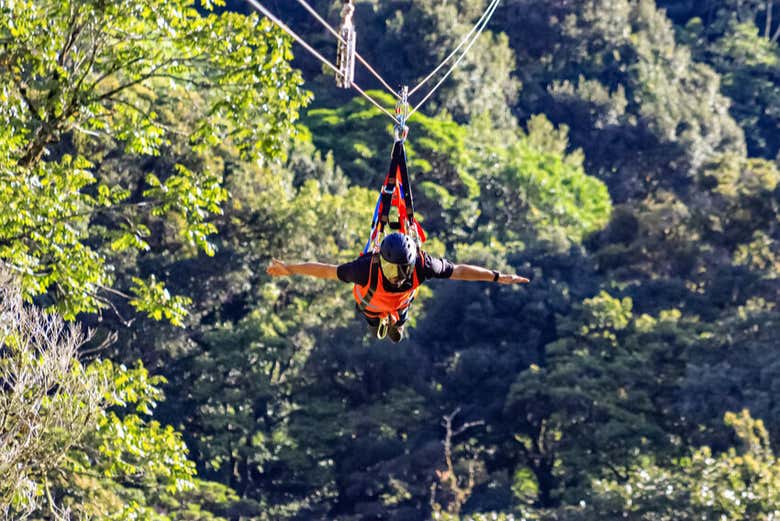 Survolez la jungle