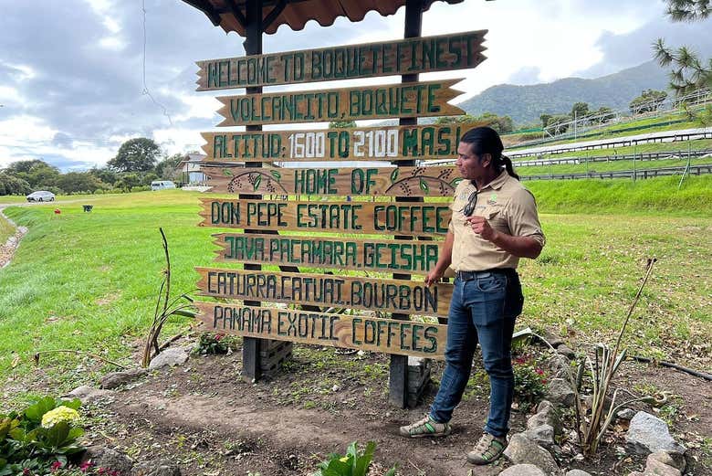 Visite d'une exploitation de café en haute altitude à Boquete