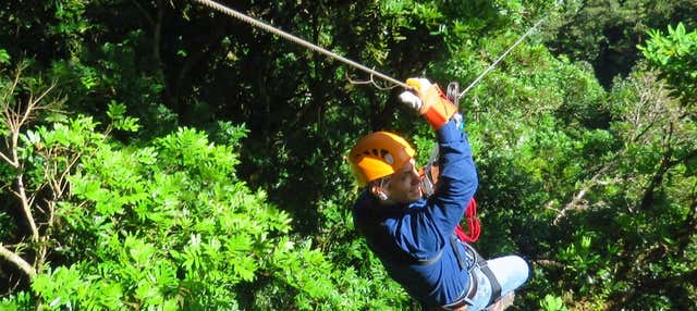 Tirolina en el Parque Nacional La Amistad