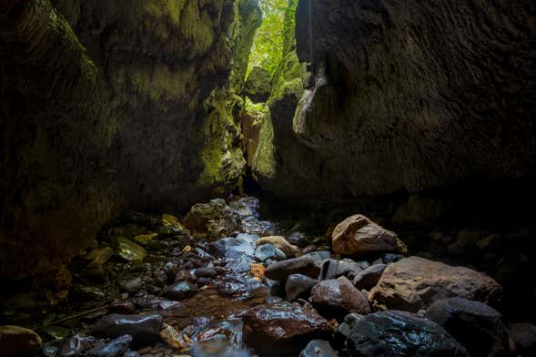 Excursion aux grottes de Bayano + Kayak sur le río Tigre