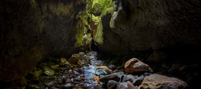 Excursión a las cuevas de Bayano + Kayak en el río Tigre