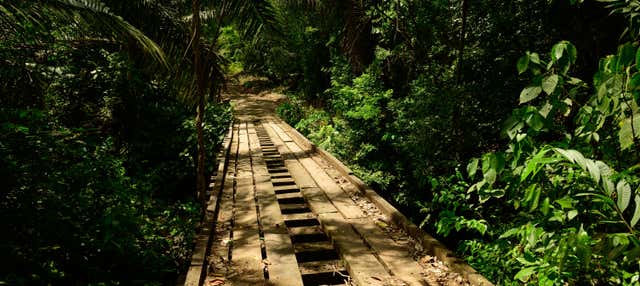 Avistamento de aves no Camino del Oleoducto de Gamboa