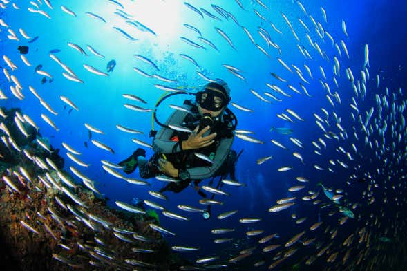 Panama City Scuba Diving