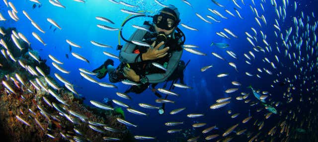 Buceo en Ciudad de Panamá