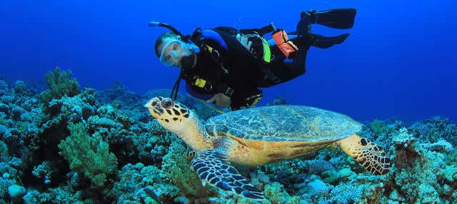 Buceo en Portobelo