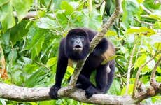 Escursione al Canale di Panama e all'isola di Monos