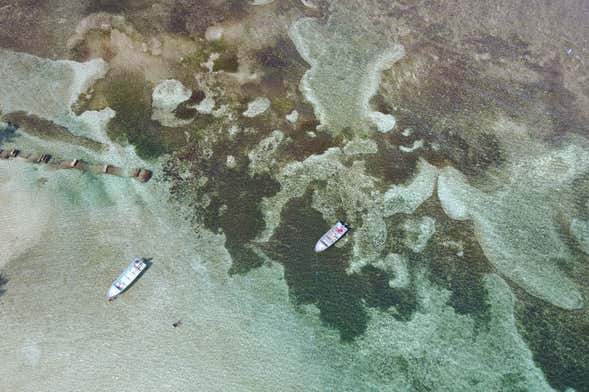 Excursion à Isla Mamey