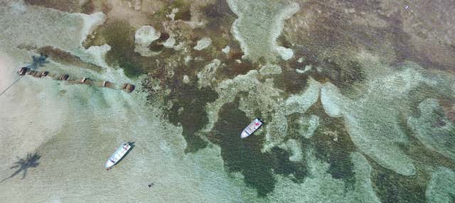 Excursão à Isla Mamey