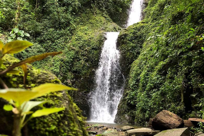 Cascades de Las Filipinas