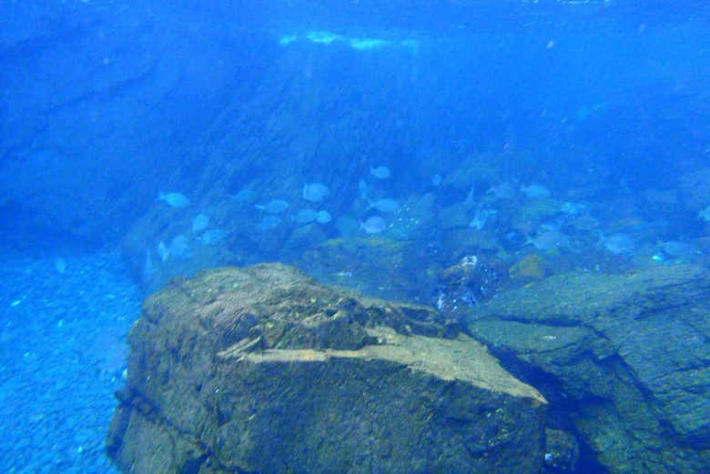 Formazioni rocciose sul fondo del Pacifico