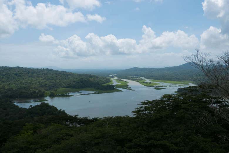 Vue sur le lac Gatun depuis le téléphérique