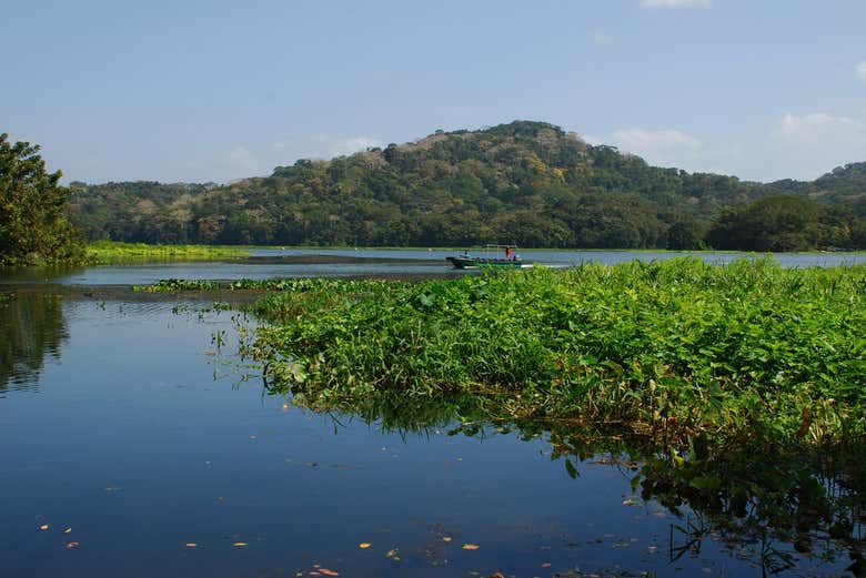 Navegando por el lago Gatún