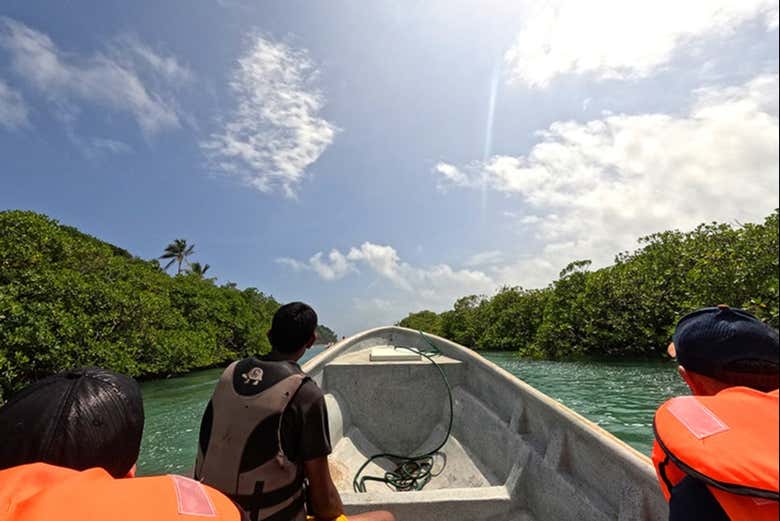 Giro in barca tra le mangrovie