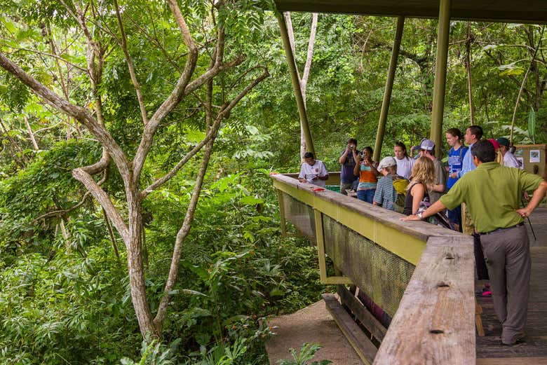 Excursion to Soberania National Park and Sloth Sanctuary from Panama City