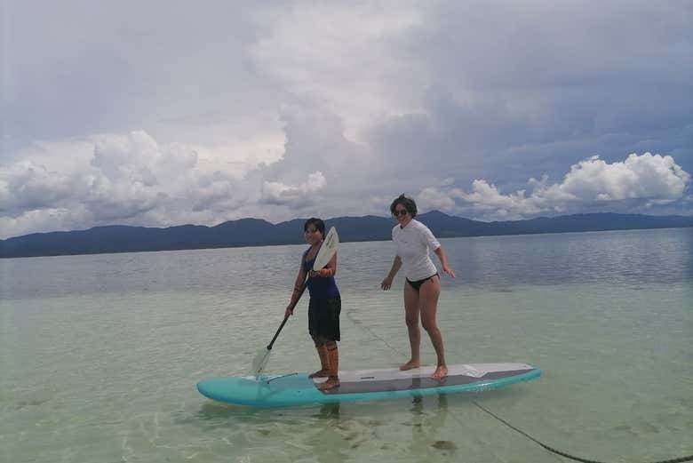 Paddle surf